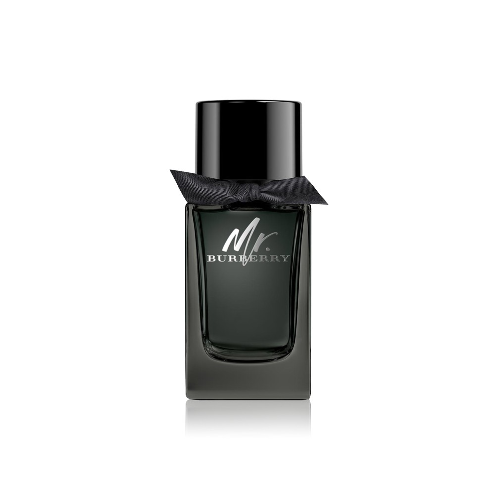 بربري مستر بربري أو دو برفيوم 100 مل