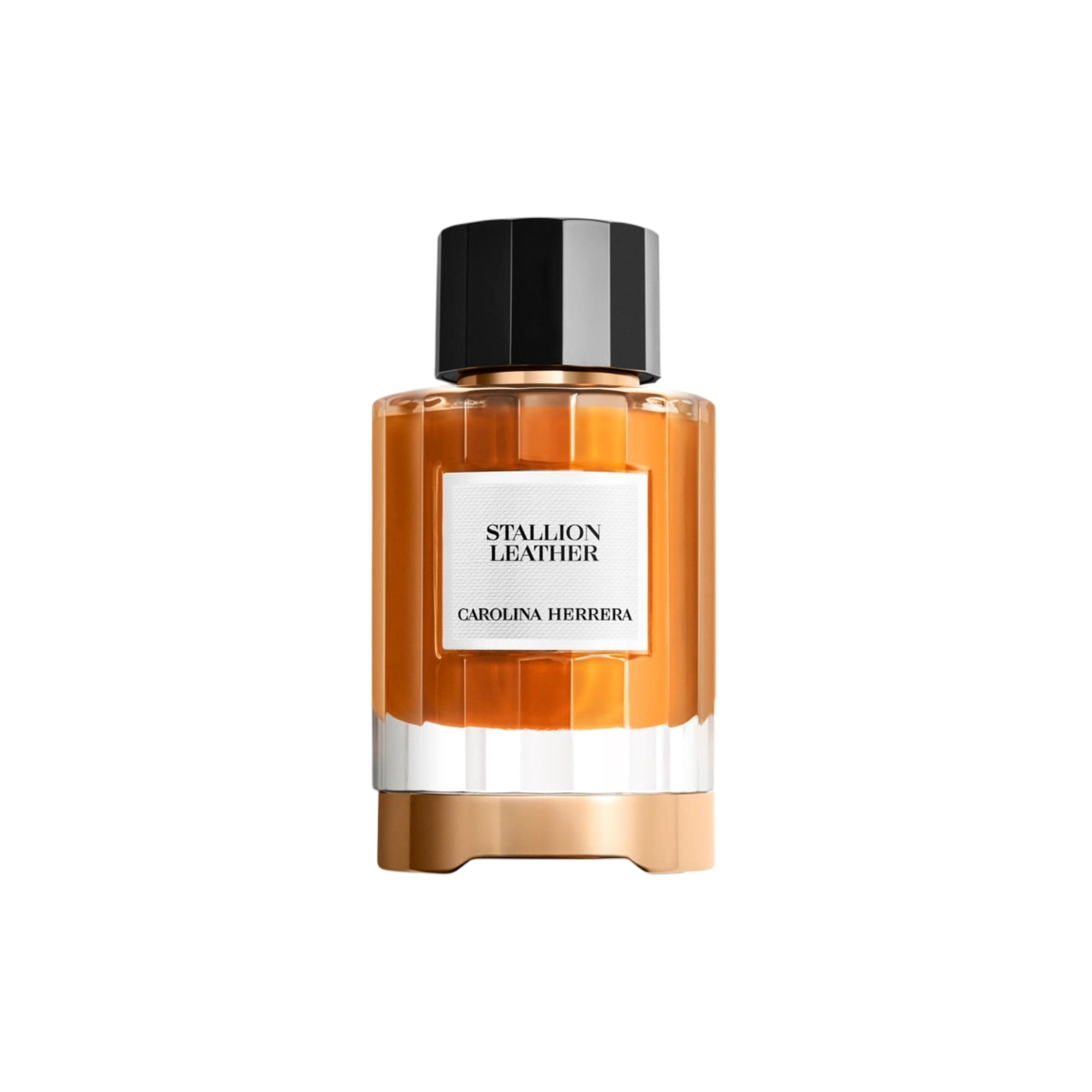 كارولينا هيريرا ستاليون ليذر أو دو برفيوم 100 مل
