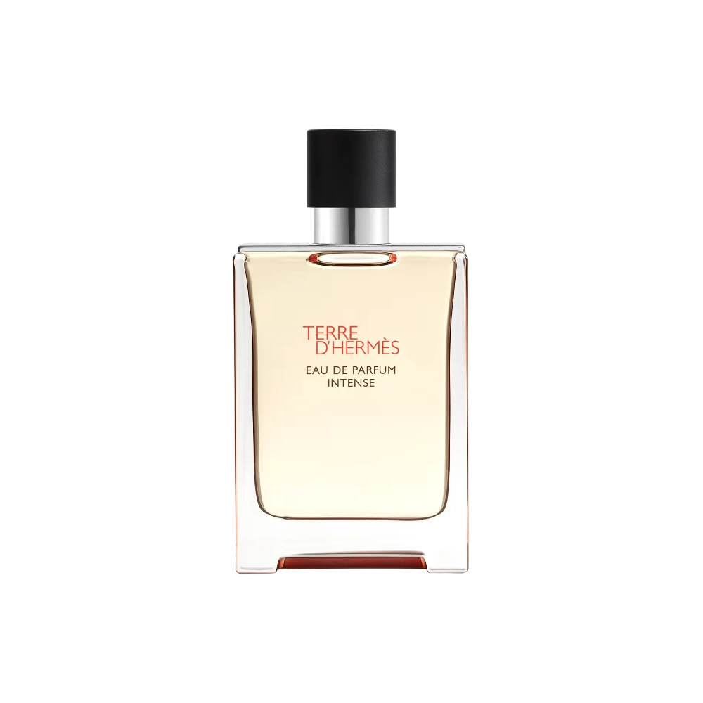 هيرمس تيري دي هيرمس أو دو برفيوم إنتنس 100 مل